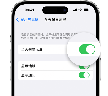 湛江苹果15预约维修分享iPhone15如何设置全天候显示屏幕可见 