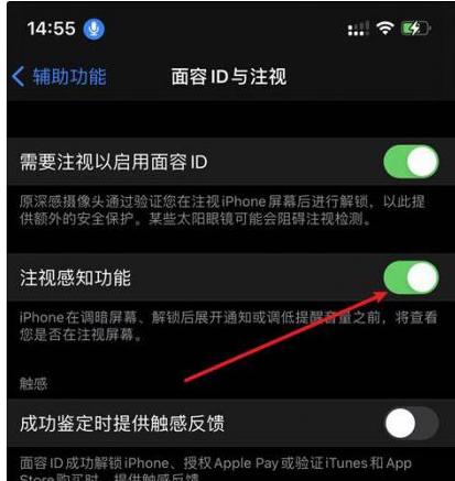 湛江苹果14维修网点分享iPhone14注视感知功能有什么用 