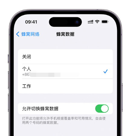 湛江苹果维修服务分享如何在iPhone上使用双卡 